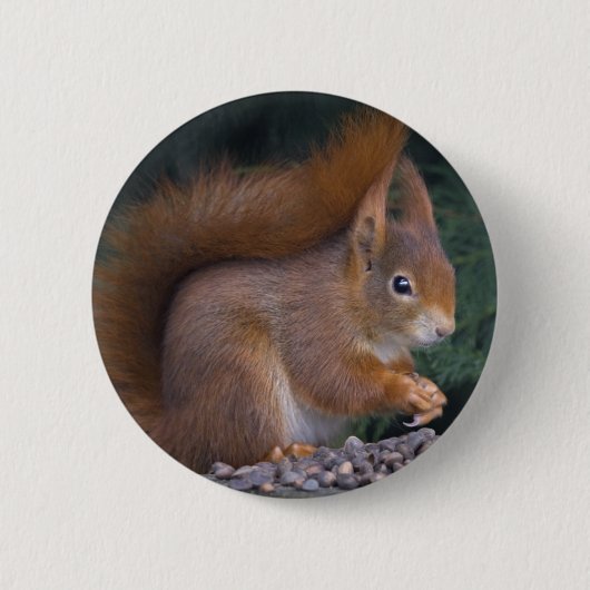 Rond 5 Cm Badge de Brunch Nut (Devant)