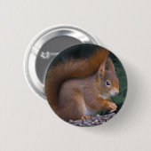 Rond 5 Cm Badge de Brunch Nut (Devant & derrière)