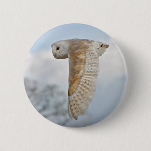 Rond 5 Cm Badge de chouette effraie en vol