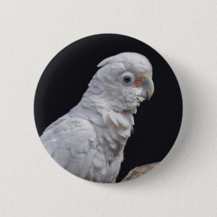 Rond 5 Cm Badge de Cockatoo de Goffin