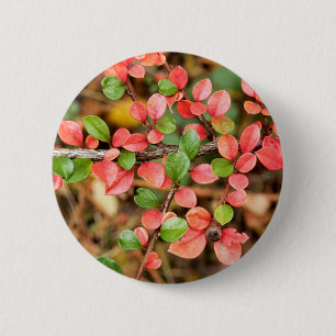 Rond 5 Cm Badge de Cotonou horizontalis