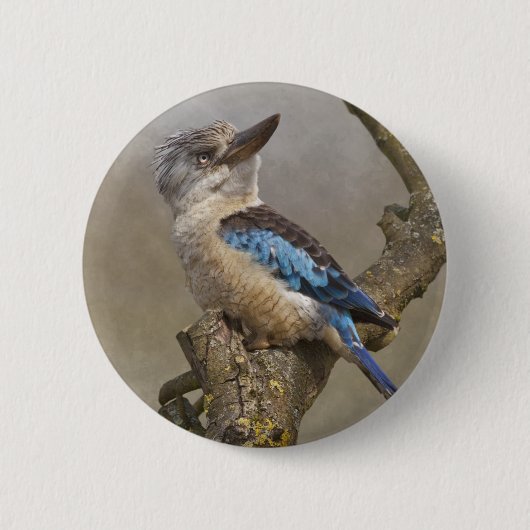 Rond 5 Cm Badge de Kookaburra (Devant)