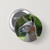 Rond 5 Cm Badge de lama (Devant & derrière)