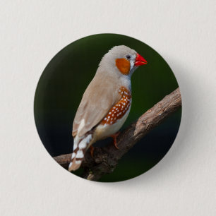 Rond 5 Cm Badge de M. Finch