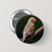Rond 5 Cm Badge de M. Finch (Devant & derrière)