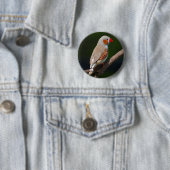 Rond 5 Cm Badge de M. Finch (En situation)