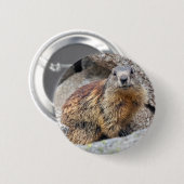 Rond 5 Cm Badge de Marmot alpine (Devant & derrière)