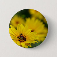 Badge d'hélium de marguerite jaune