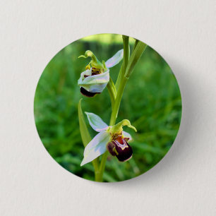 Rond 5 Cm Badge d'orchidée d'abeille