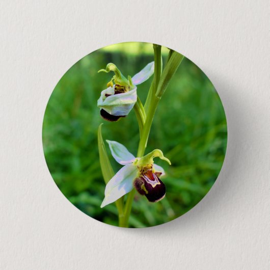 Rond 5 Cm Badge d'orchidée d'abeille (Devant)