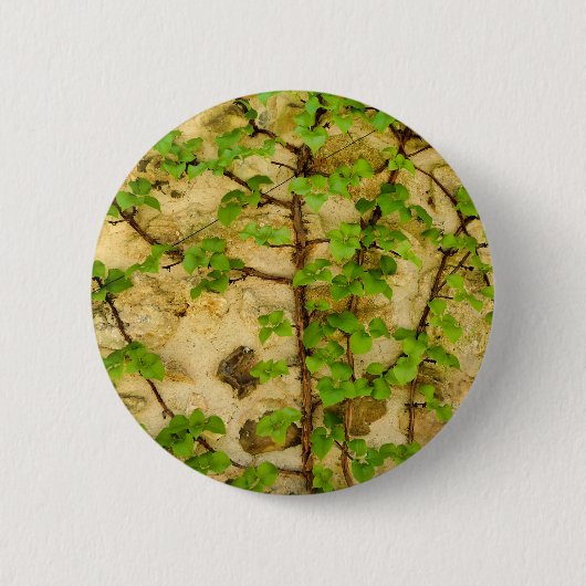 Rond 5 Cm Badge Hydrangea petiolaris (Devant)