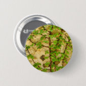 Rond 5 Cm Badge Hydrangea petiolaris (Devant & derrière)