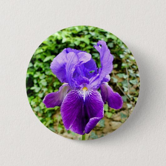 Rond 5 Cm Badge Iris Learé (Devant)