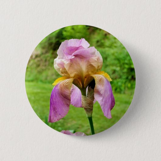 Rond 5 Cm Badge Iris Learé (Devant)