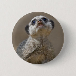 Rond 5 Cm Badge Kute Kat