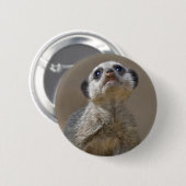 Rond 5 Cm Badge Kute Kat (Devant & derrière)