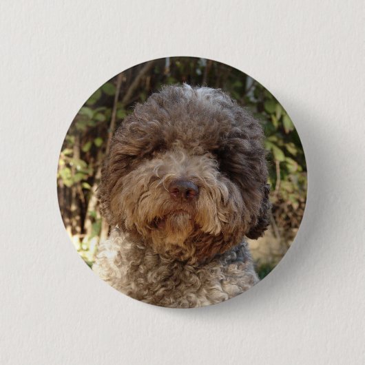 Rond 5 Cm badge lagotto-romagnolo (Devant)
