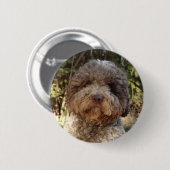 Rond 5 Cm badge lagotto-romagnolo (Devant & derrière)