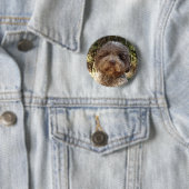 Rond 5 Cm badge lagotto-romagnolo (En situation)