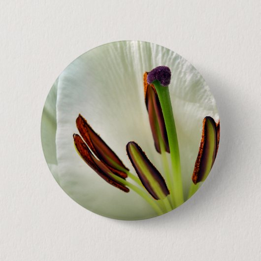 Rond 5 Cm Badge Lilium Oriental Blanc (Devant)