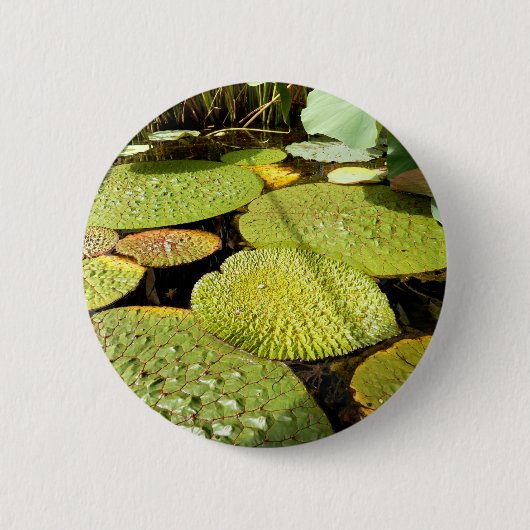 Rond 5 Cm Badge Lily Pads (Devant)
