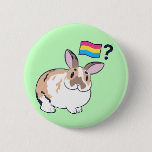 Rond 5 Cm Badge Paddy Pride (Pansexual)