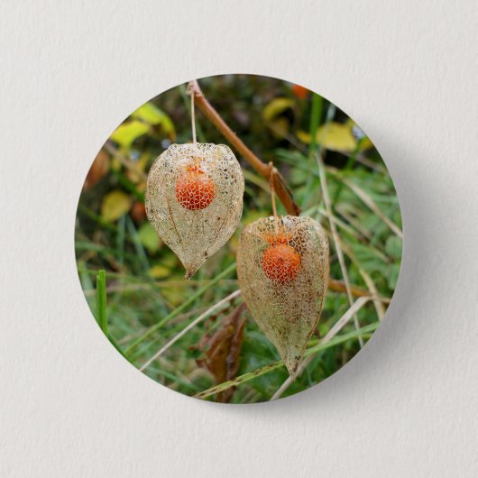Rond 5 Cm Badge Physalis alkekengi (Devant)