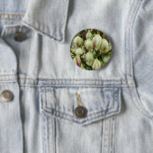Rond 5 Cm Badge Plante du Yucca (En situation)