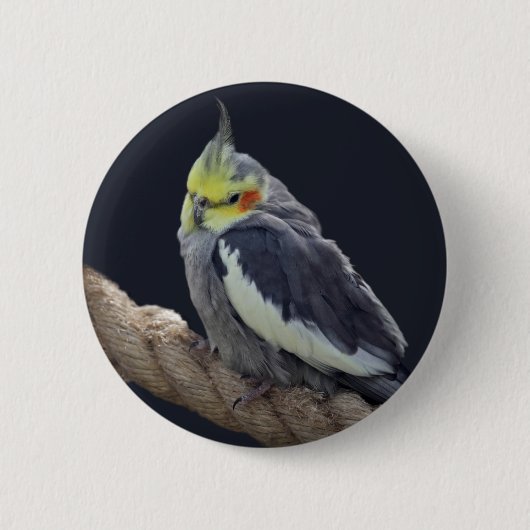 Rond 5 Cm Céleste Badge Cockatiel (Devant)