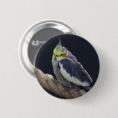 Rond 5 Cm Céleste Badge Cockatiel (Devant & derrière)
