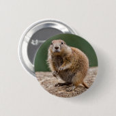 Rond 5 Cm Curieux Badge De Chien Des Prairies (Devant & derrière)