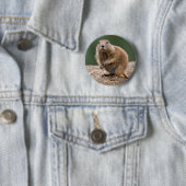 Rond 5 Cm Curieux Badge De Chien Des Prairies (En situation)