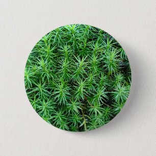 Rond 5 Cm Juniper Hair Casquette Moss Badge