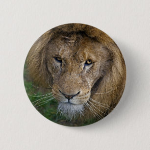 Rond 5 Cm Le Badge du Roi