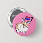 Rond 5 Cm Paddy Pride Badge (Bisexuel) (Devant & derrière)