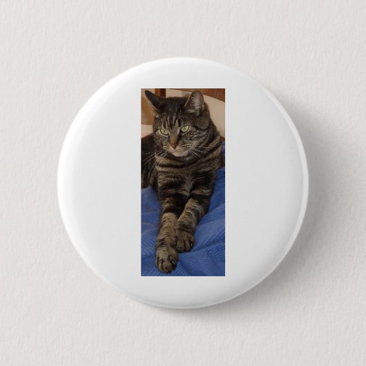 Rond 5 Cm Regal Dave Badge (Devant)