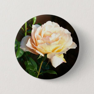 Rond 5 Cm Rose Button or Badge