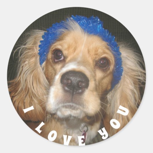 Rond Ajouter Photo Love You Classic Round Sticker (Devant)
