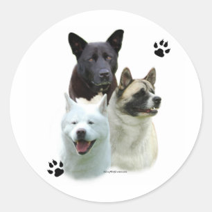 Rond Akita Trio - Sticker