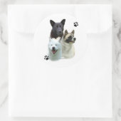 Rond Akita Trio - Sticker (Sac)