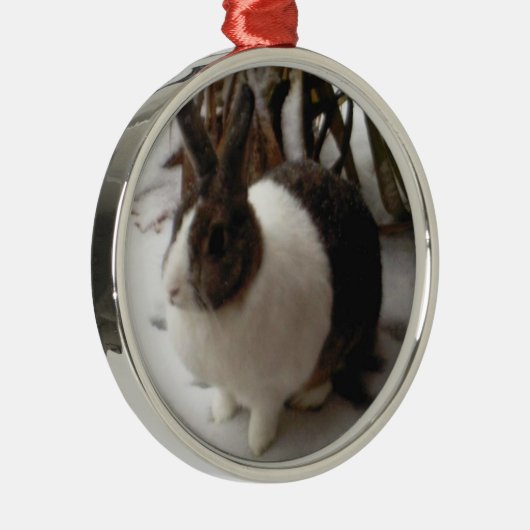 Rond Argenté Ornement de lapin (Droite)