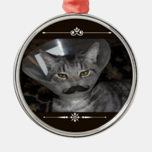 Rond Argenté Ornement de moustache de Ferris Mewler