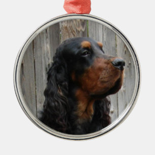 Rond Argenté Ornement de photo de Setter Gordon