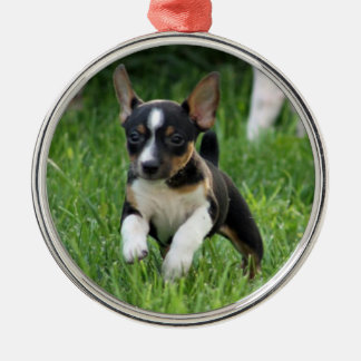 Rond Argenté Ornement de Rat terrier