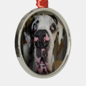 Rond Argenté Ornement dogue (Droite)