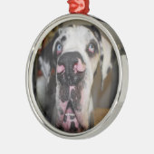 Rond Argenté Ornement dogue (Gauche)