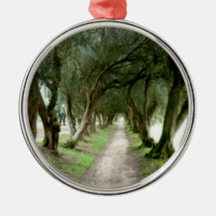Rond Argenté Ornement olive de jardin