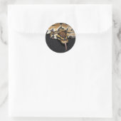 Rond Ball Python Sticker (Sac)