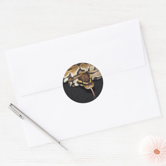 Rond Ball Python Sticker (Enveloppe)
