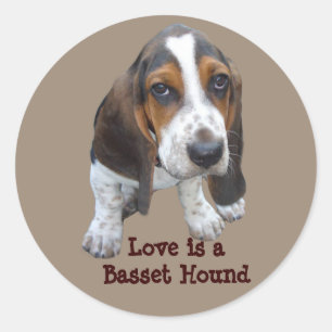 Rond Basset Hound Puppy Sticker